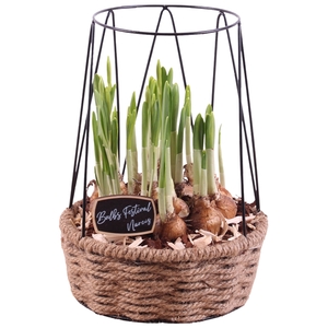 Bulbs Arr. Narcis Metal Frametower Rope Pot Round Ø21cm