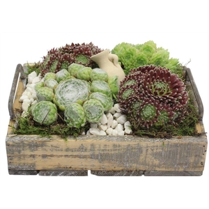 4745 DIENBLAD RH SEMP