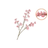 Silk Berry Spice Light Pink 108cm