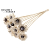 Shola Daisy Sunflower 6cm on stem Wax White