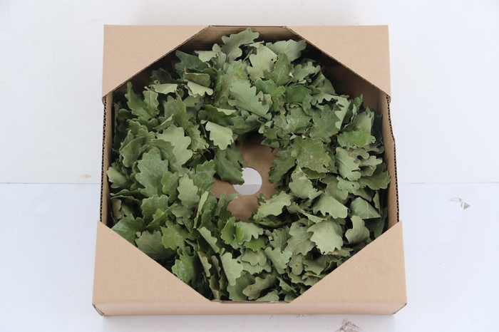 <h4>Wreath Oak Leaf Ø35cm</h4>