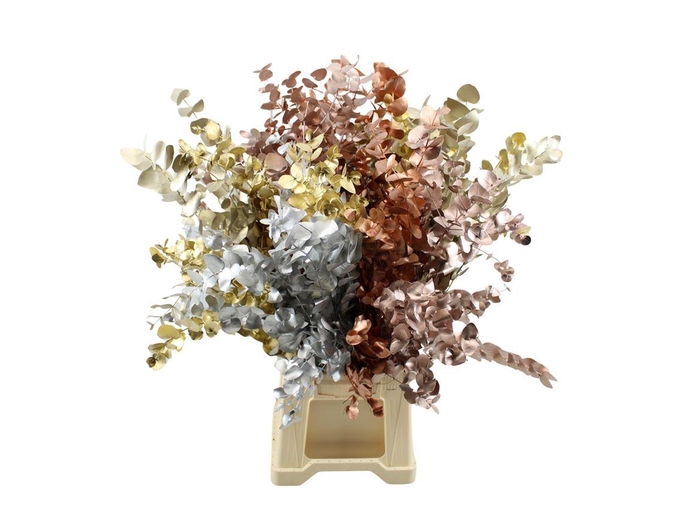 <h4>Euca Cinerea Metal Mix</h4>