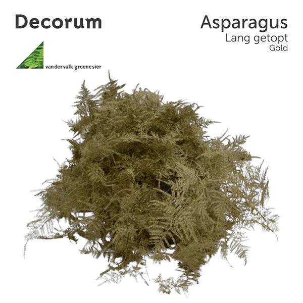 <h4>Asp lang getopt Gold Box</h4>