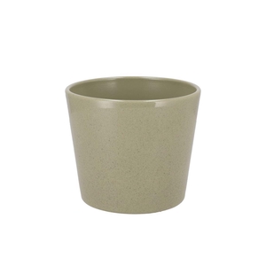 Ceramic Kiwi Stone Pot 13cm