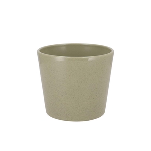 Ceramic Kiwi Stone Pot 13cm
