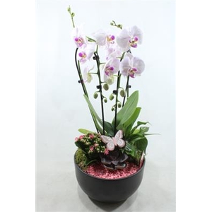 0941 Cascade PINK
