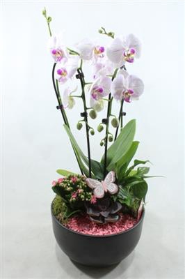 <h4>0941 Cascade PINK</h4>