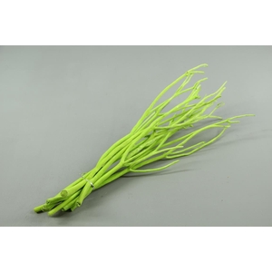 Mitsumata Flock Lime Gr Bs(10)