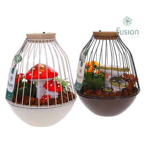 Vogelkooi metaal bruinwit Medium met LED en herfst arrangement