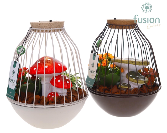 <h4>Vogelkooi metaal bruinwit Medium met LED en herfst arrangement</h4>