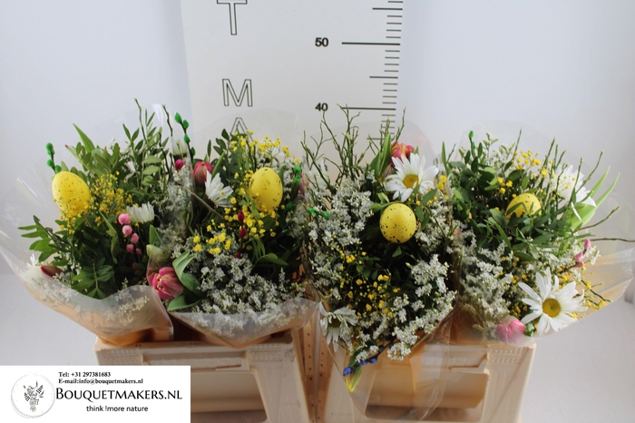 <h4>GEM BOEKET OV</h4>