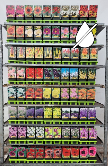 Vaste planten mixkar