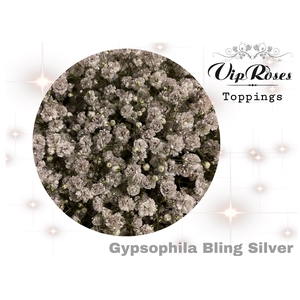 Gyps Pa Vip Bling Silver