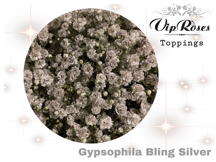 <h4>GYPS PA BLING SILVER</h4>