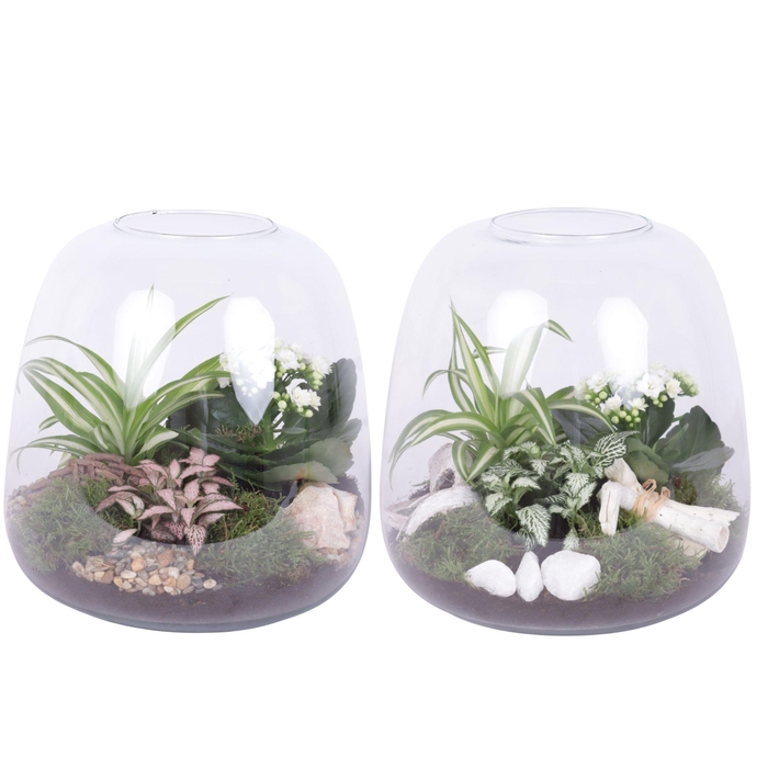 <h4>Yearround Arr. Indoor Glass Vase Terrarium Round Ø23cm 3PP</h4>