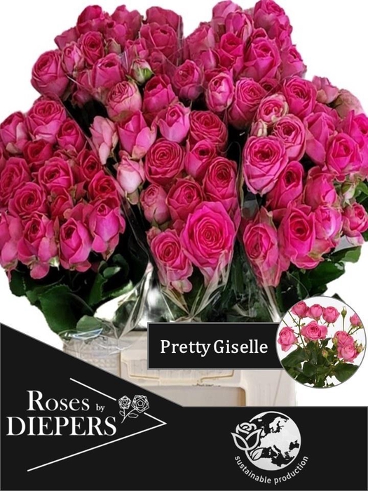 <h4>R TR PRETTY GISELLE!</h4>