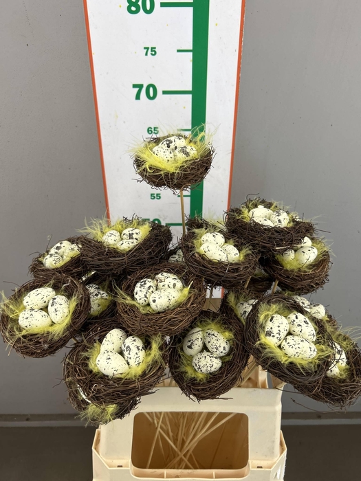 <h4>EGGS +NEST SALIM  10 CM OP STOK</h4>