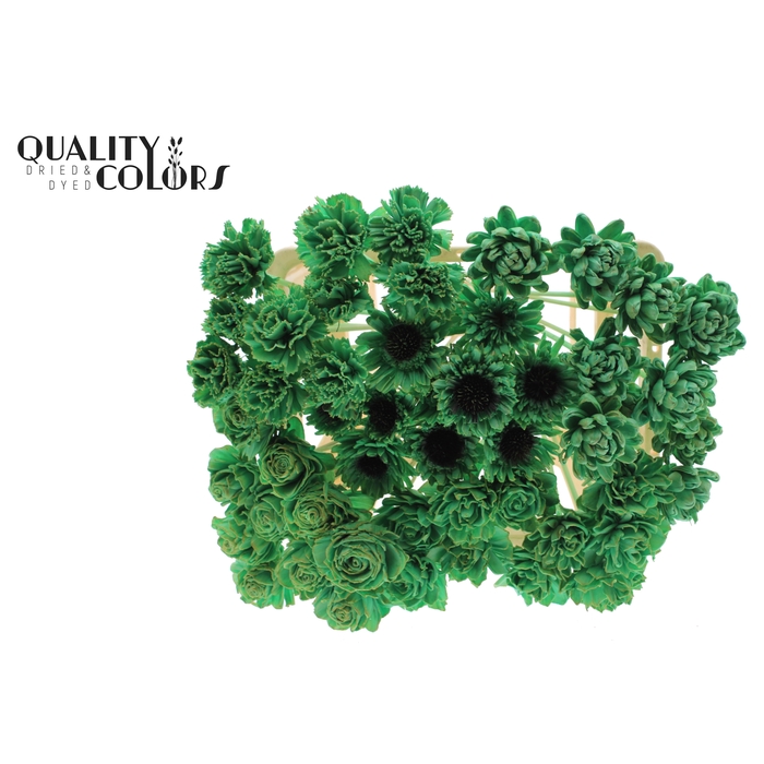 <h4>Shola Flower Mix on stem Mint Green</h4>