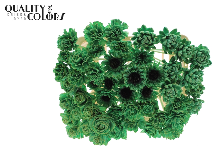 Shola Flower Mix on stem Mint Green