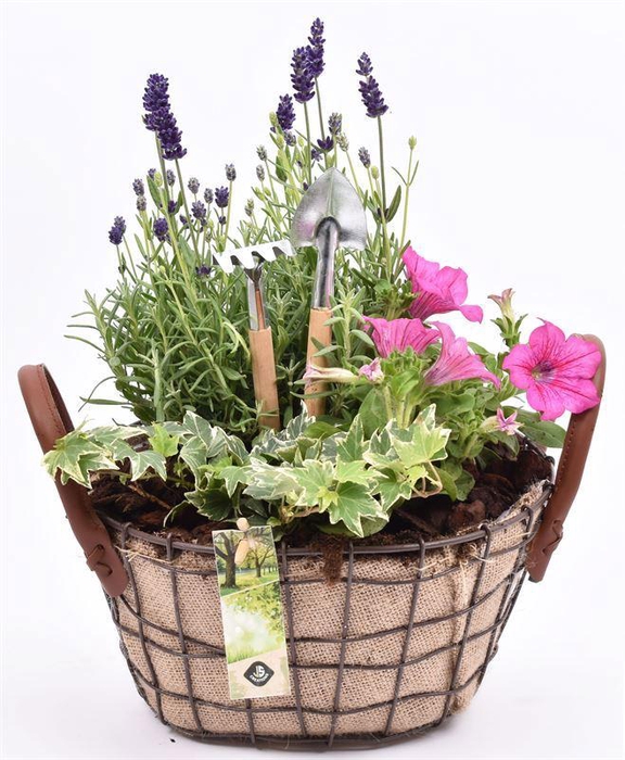 <h4>Gaasmand ovaal met jute 25x20cm</h4>