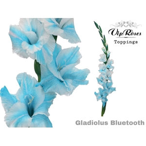 Glad Gr Bluetooth