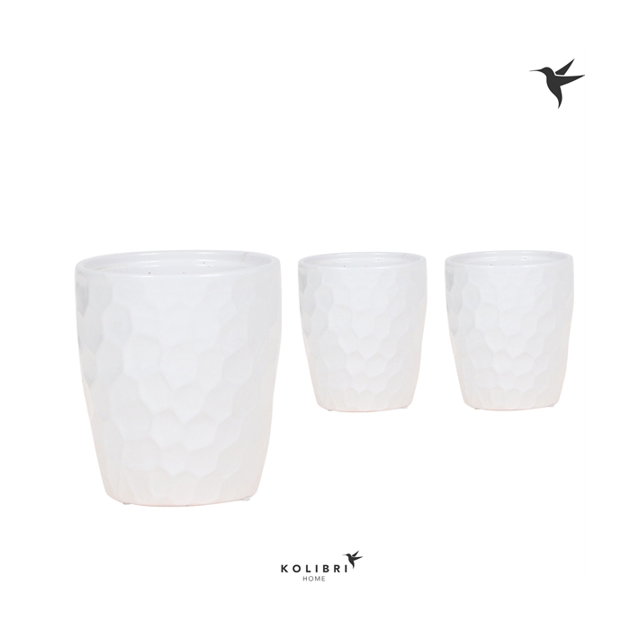 <h4>Kolibri home Honey pot</h4>