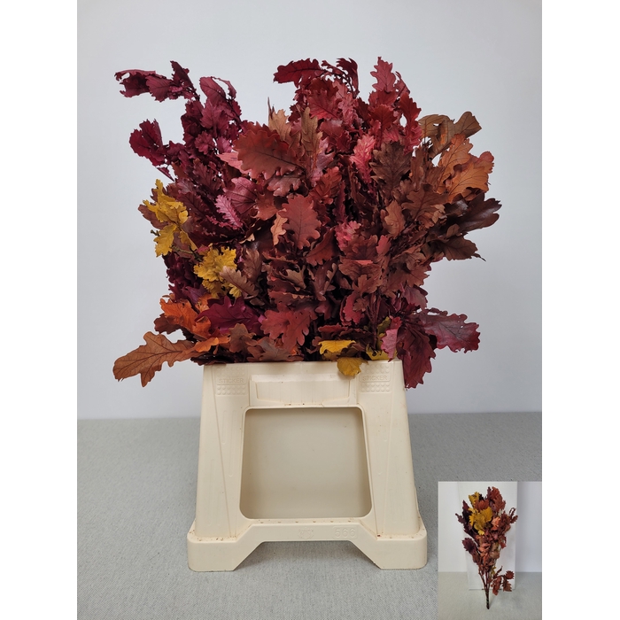 <h4>GESTABILISEERD EIK MIX HERFST</h4>