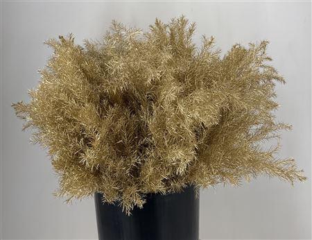 <h4>Co Crypto Col Gold Brill Oro</h4>