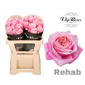 R GR REHAB