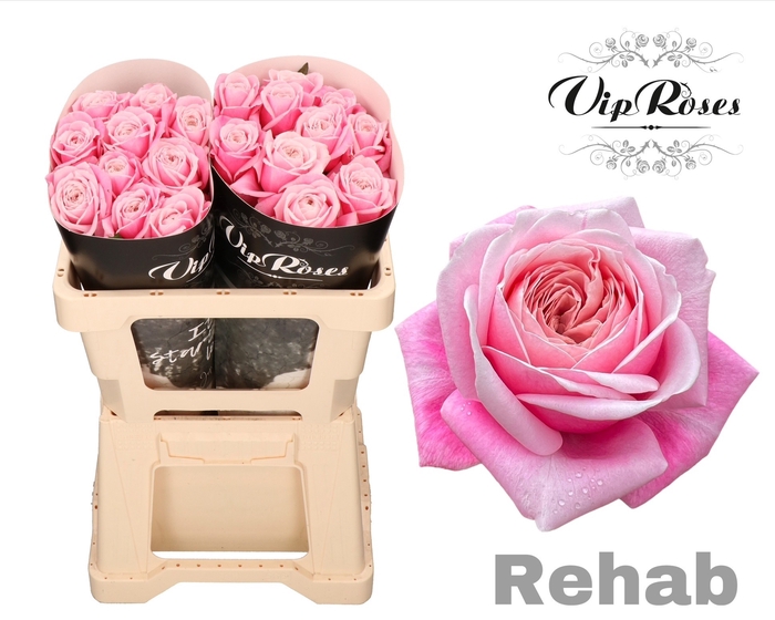 R GR REHAB