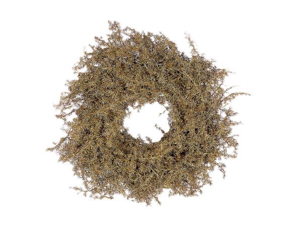 Wreath Asparagus Glitter D20