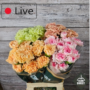 DI ST GEMENGD IN FUST