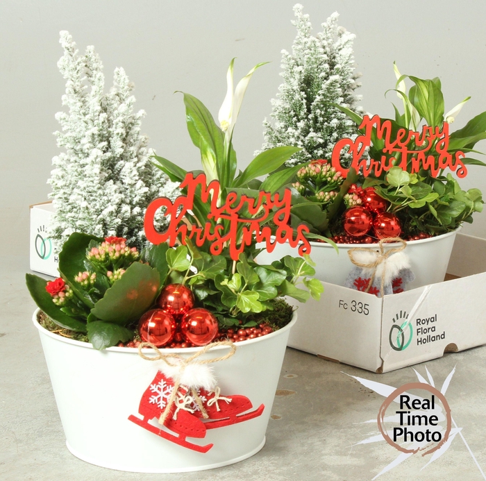 <h4>Arr Kamerpl</h4>