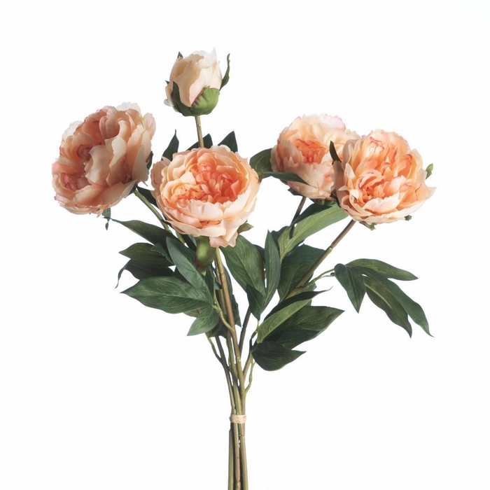 <h4>AF Peony Bundle L66cm Peach</h4>