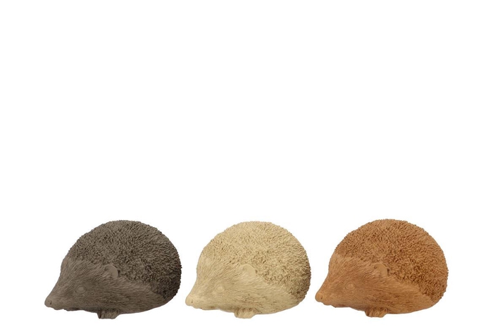 Hedgehog Woods Brown Polystone Ass 15x10x7cm Nm