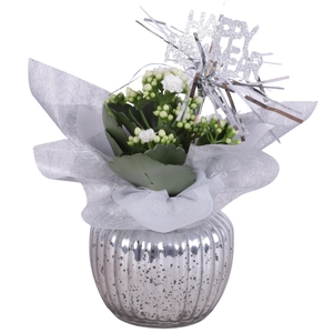 New Year Arr. Indoor Glass Round Relief Silver Ø11cm 1PP