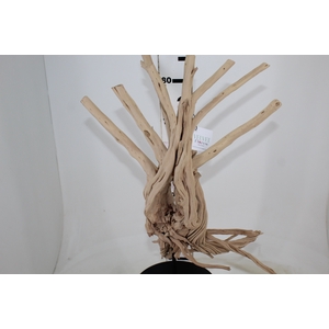 TRONCOS SECOS DE WAX FLOWER G