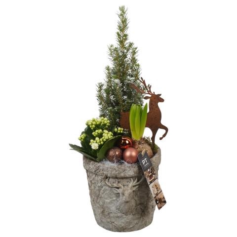<h4>PTCHB9774 Arrangementen Kerst</h4>