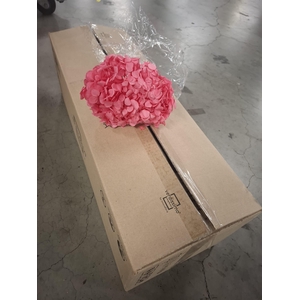 Dried hydrangea candy pink