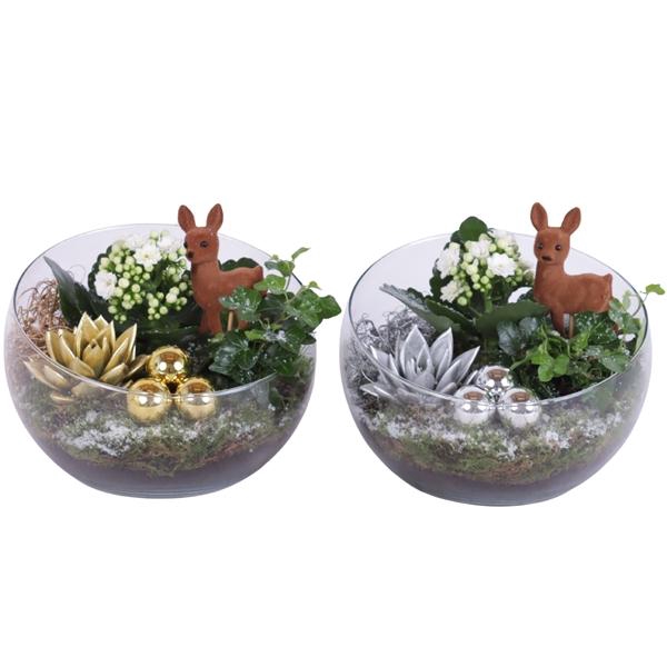 <h4>Christmas Arr. Indoor Glass Bowl Vase Ø20cm 3PP</h4>