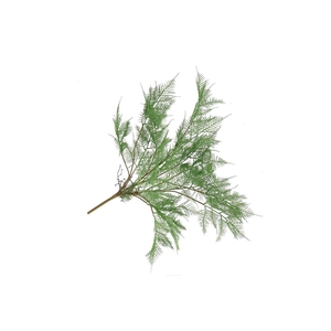 Silk Fern Asparagus Plant Dark Green 77cm