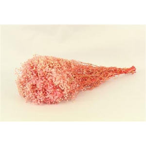Pres Gypsophila Pink Bunch Slv