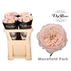 R KL MANSFIELD PARK