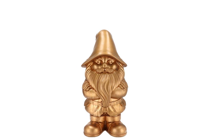 <h4>Gnome Gold 20cm Nm</h4>