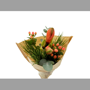 Bouquet Casta Apricot