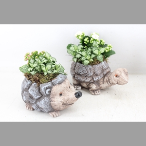arr2 TD - Dierenmix - roze/wit