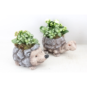 arr2 TD - Dierenmix - roze/wit