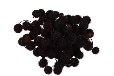 <h4>Dry Platane Zwart Per Bundel Nm</h4>