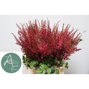 ASTIL AR ELSE SCHLUC