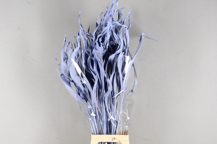 <h4>DF Strelitzia Leaf Light Blue</h4>